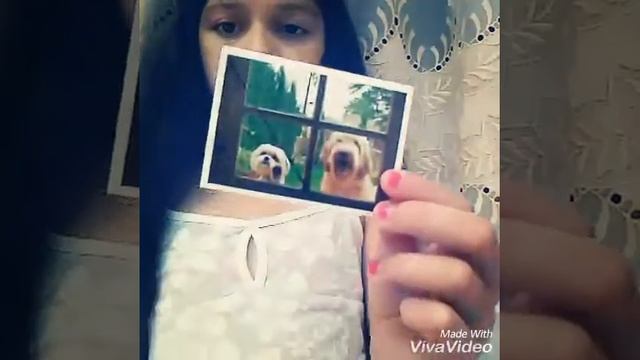 Наклейки из магнита смотреть онлайн