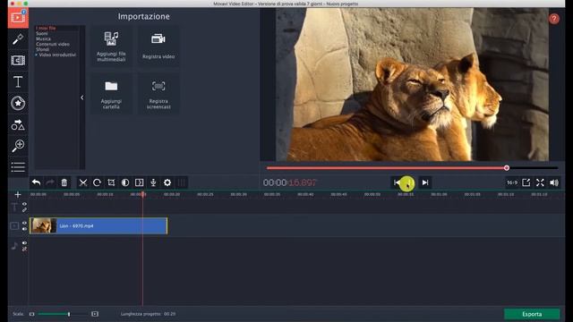 Come tagliare un video con Movavi - Tutorial смотреть онлайн
