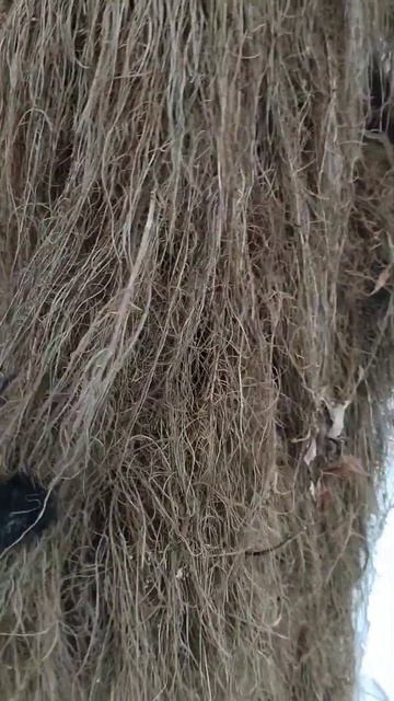 Бабушка Ива мохнатая, не как в Гарри Поттере) смотреть онлайн