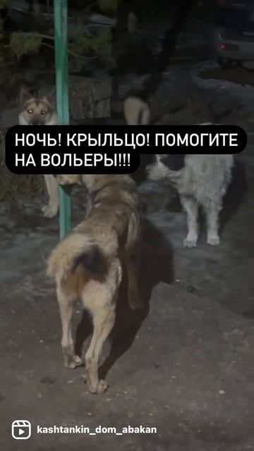 Сказки из жизни. Приют. Хакасия. Помощь.на вольеры.89135440512 смотреть онлайн