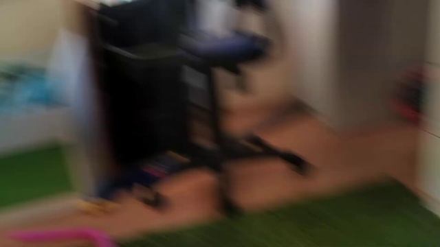 мальмучая мальма