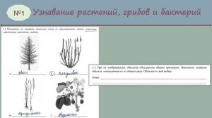ВПР 7 класс БИОЛОГИЯ_2025 (№ 1)