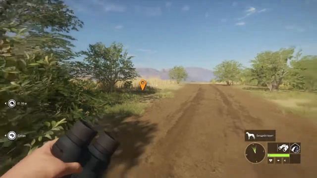 Кормим больших кошек в африке смотреть онлайн