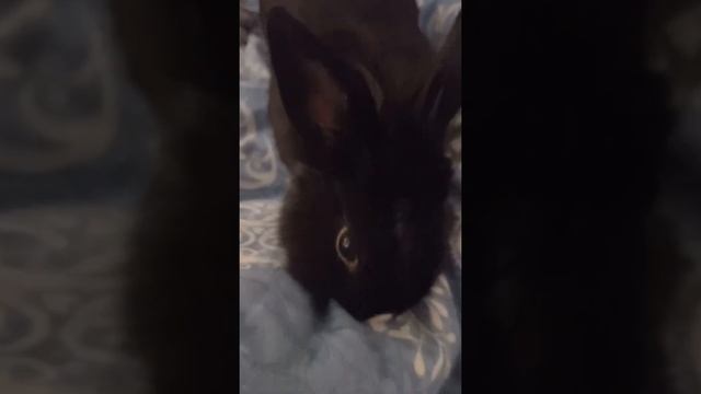 Доброе утро смотреть онлайн