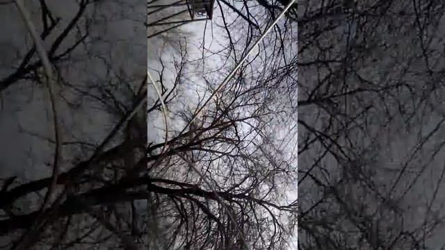 Ассоль горит смотреть онлайн