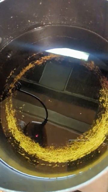 Infrared (IR) thermometer to measure the temperature of cooking oil? смотреть онлайн