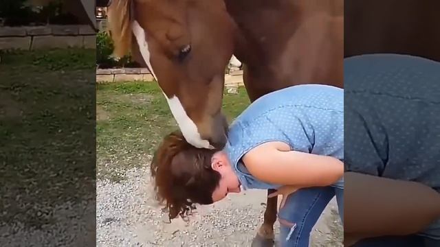 Horse girllove video смотреть онлайн