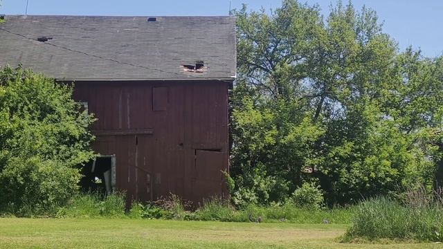 CYMA M16A1 Review смотреть онлайн