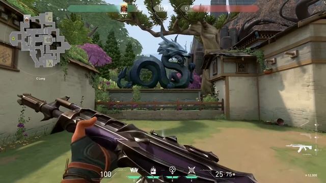 VALORANT REAVER COLLECTION Showcase смотреть онлайн