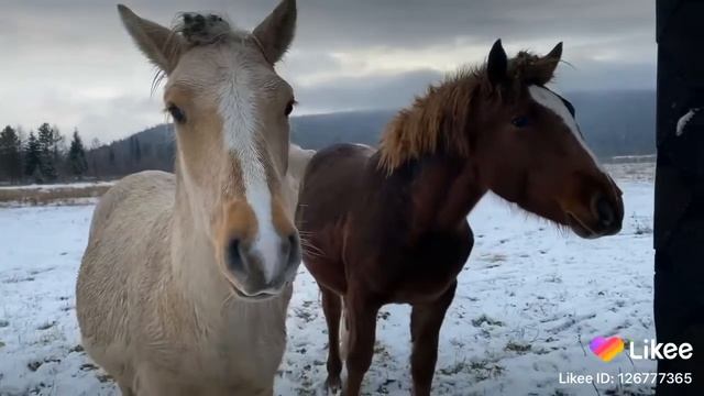 Кутурчинское белогорье смотреть онлайн