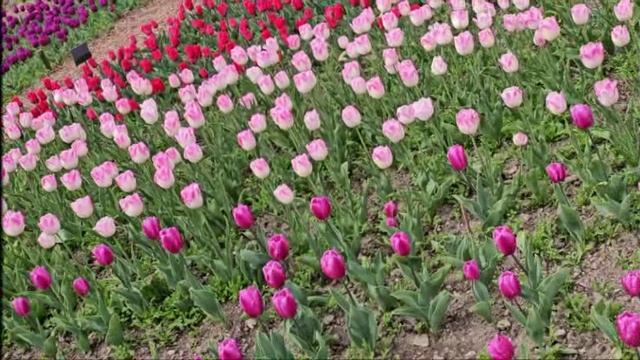 Весна отразилась в тебе