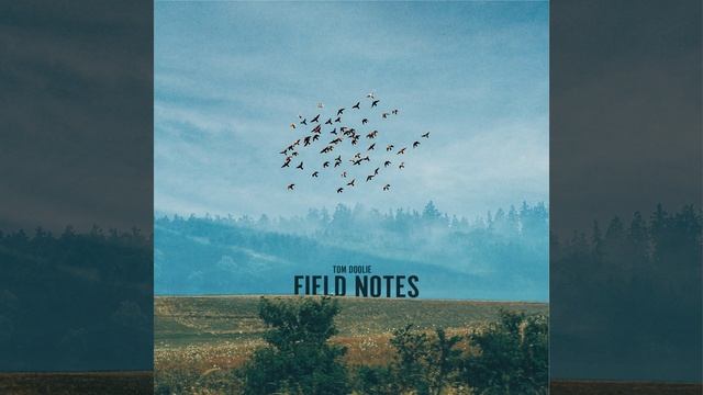 Stay and Wander смотреть онлайн