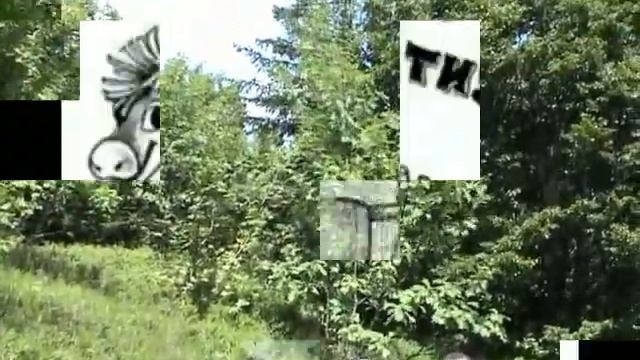 весёлые каникулы в шварцвлаьде.mp4 смотреть онлайн