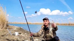 Шамайка пришла на Маныч, ловлю рыбу на реке!!!
