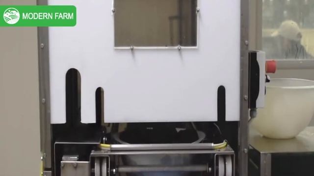 How CAVIAR is Made in farm | How it made Caviar | How Sturgeon Caviar Is Farmed and Processed смотреть онлайн