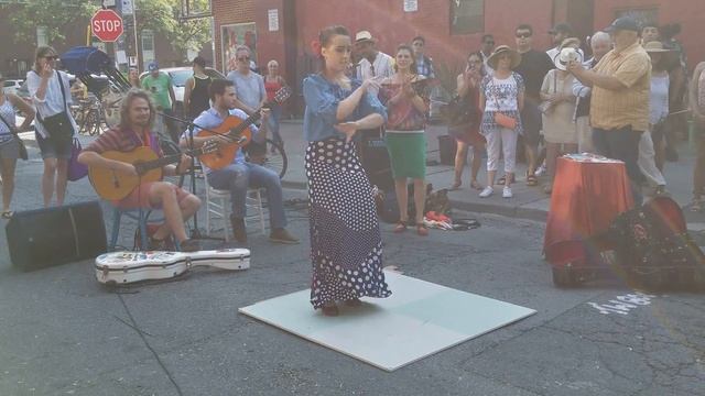 Flamingo @ Kensington Market 20170924_160019.mp4 смотреть онлайн