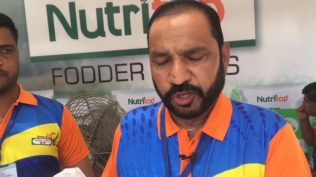 Nutri top white jowar seed price and specifications | jwar ki kheti kaise kare | hybrid jowar seeds смотреть онлайн