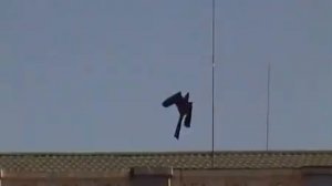 Динамический отпугиватель птиц КРУК  | Демонстрация работы №2