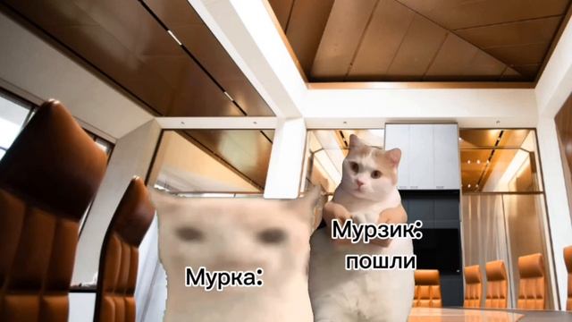 Коты vs Собак 1 сезон 7 серия смотреть онлайн
