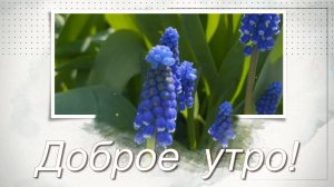 Доброе утро. Какой прекрасный день, посмотри вокруг. Песня с добрым утром