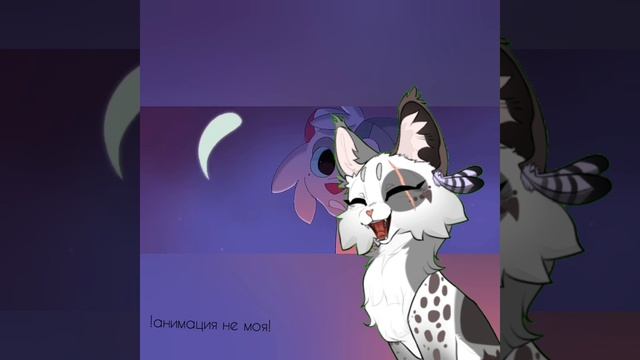 конкурс☆☆☆