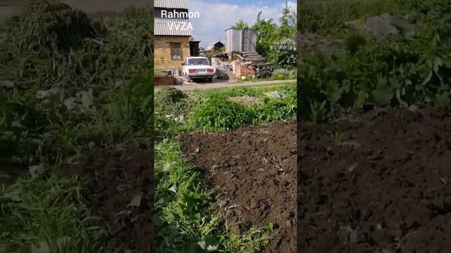 Дар рассия картошка шинондем... смотреть онлайн