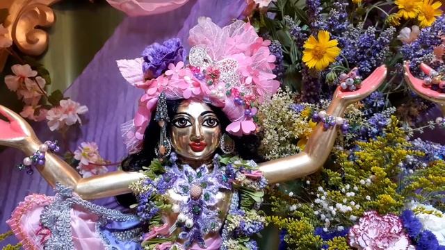 Darsan.Sri Sri Nitay Gaura Sundara🌹 смотреть онлайн