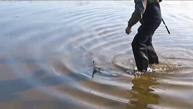 Строгинская пойма , есть где разбежаться! смотреть онлайн