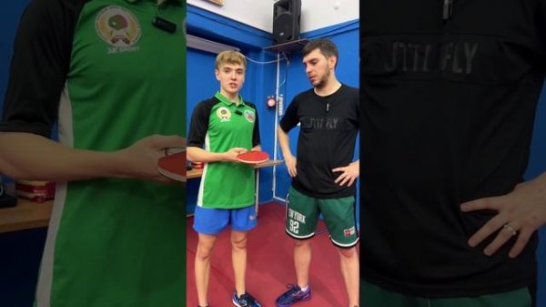 В чем разница Timo Boll ALC от Viscaria ?