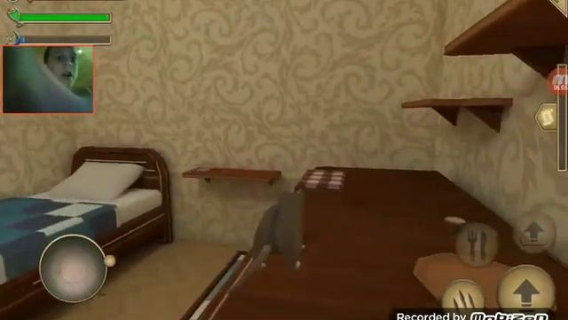 НА МЕНЯ НАПАЛА КОШКА ТРИ РАЗА. Симулятор мыши прохождение. 2 Часть смотреть онлайн