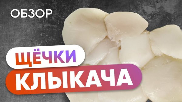Щёчки патагонского клыкача – изысканный морской рыбный деликатес! обзор деликатесной рыбы