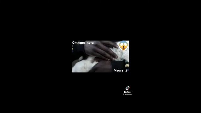 видео сборник из ( Тик тока) а вы любите фильмы?