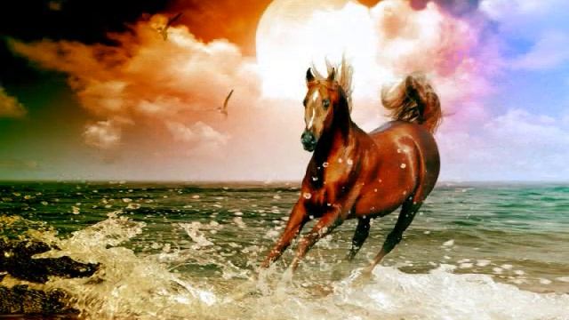 The Story of Horses- Man of Lamancha смотреть онлайн