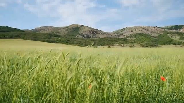 бир баштык талкан смотреть онлайн