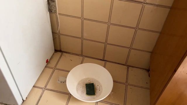 Тащить #новости #отдых #я #это #топ #онлайн #україна #жизньвиталии #европа #дети #еспресо #тренды смотреть онлайн