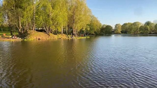 Зарыбление осетром ежедневно смотреть онлайн