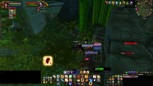 Paladin Solo Tiger Boss смотреть онлайн