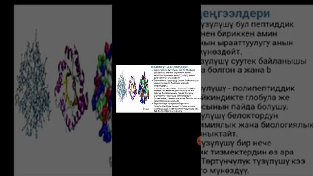 Белоктор смотреть онлайн