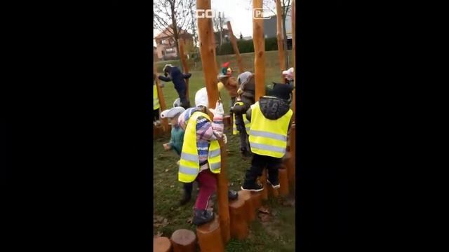 Zdravě hravě se ZOO Plzeň смотреть онлайн