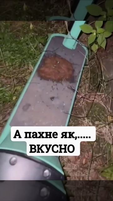 а пахне як вкусно смотреть онлайн