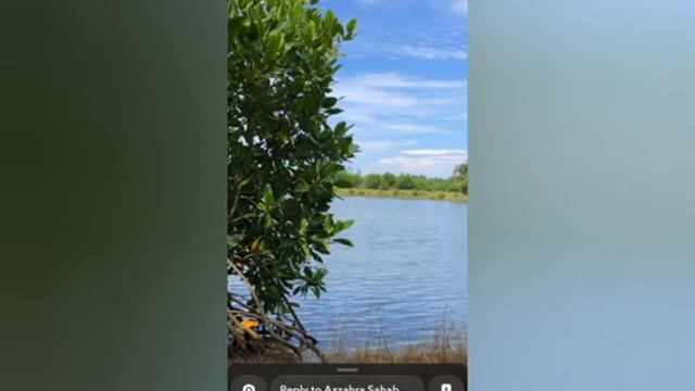 asun amra gaynaay nai amadyr prio Nabi Hogrot Muhammad (s:) AR gibon kahini смотреть онлайн