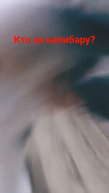 капибара смотреть онлайн