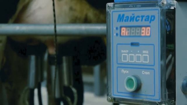 Полиэфир АГРО MAISTAR смотреть онлайн