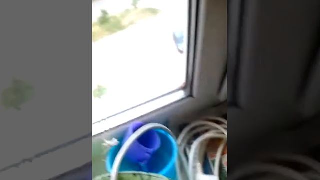 Просвещение смотреть онлайн