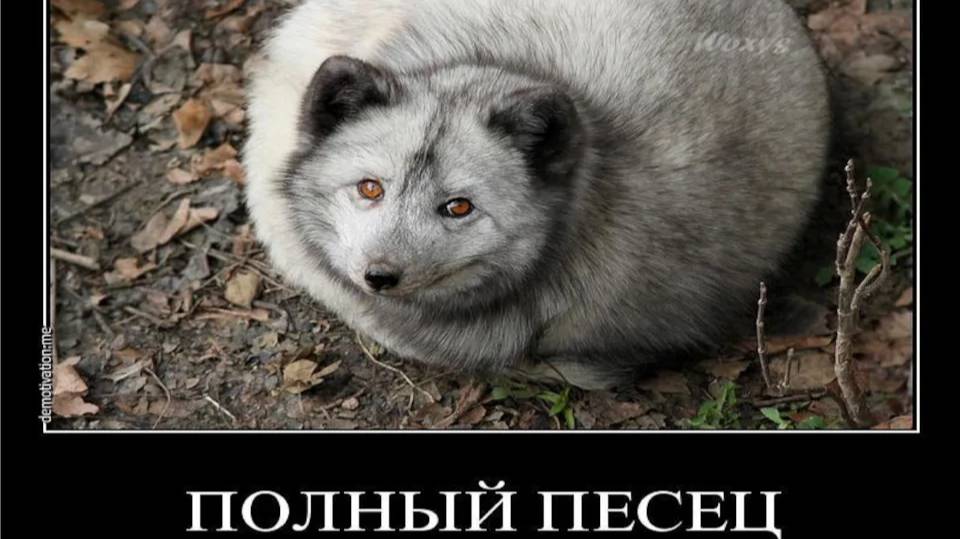 :kod троллинг