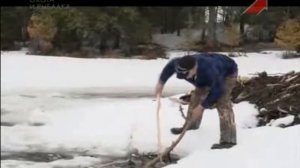 Охотники за пушниной 9