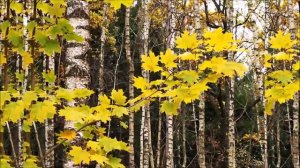 Булат Окуджава: сборник песен