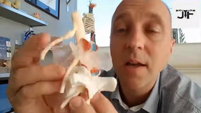 Moving Back Pain - Disc Height Loss and Facet Pain смотреть онлайн