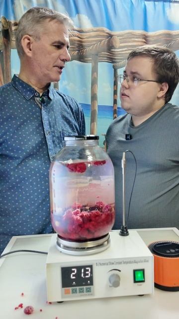 Делаем настойку на малине по быстрому и дегустируем.