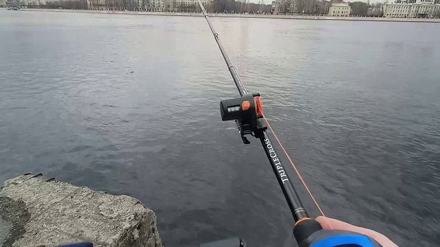 Самая дешёвая катушка с OZON